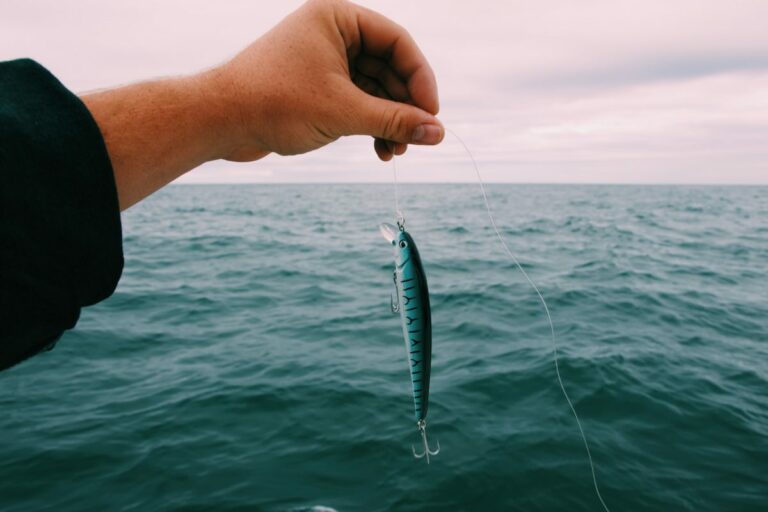 anzuelo de pesca en el mar