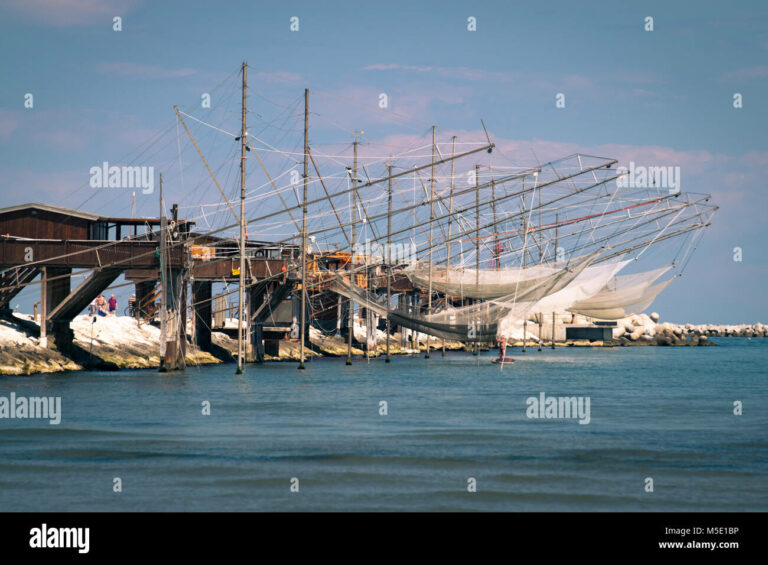 caja de pesca trebuchet