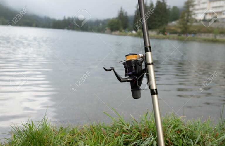 caña de pescar en el lago con carrete