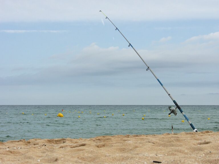 caña de pescar en la playa