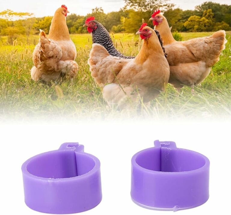 cebo para patas de gallina