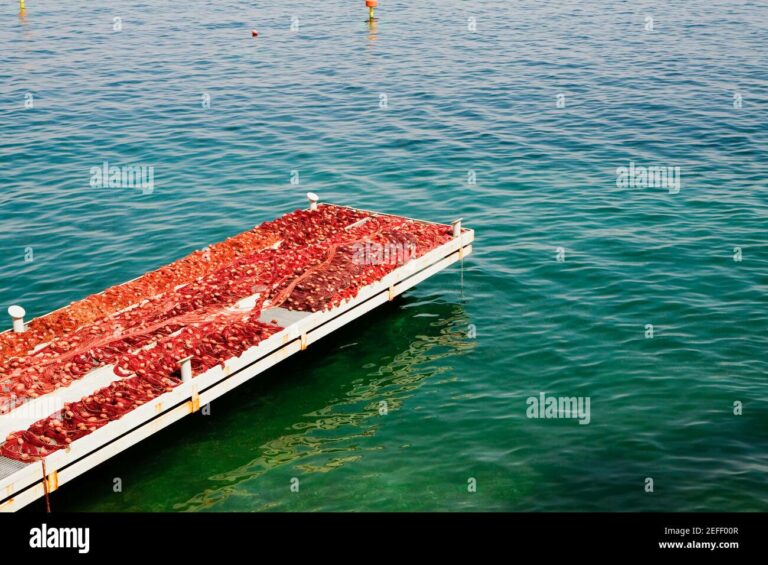 Pesca en Nápoles y Campania