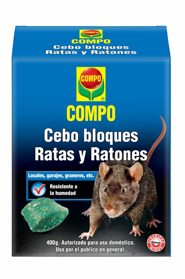 ratas de cebo