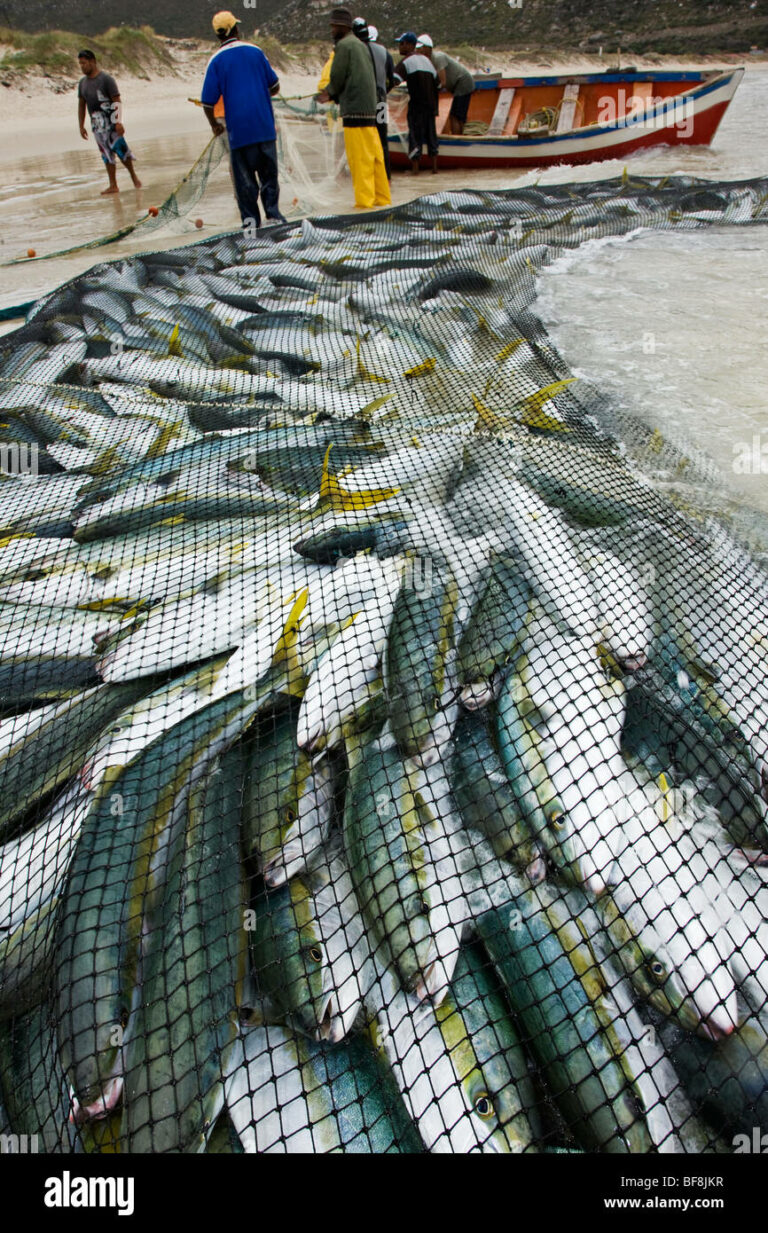 red de desembarco de pesca en el mar