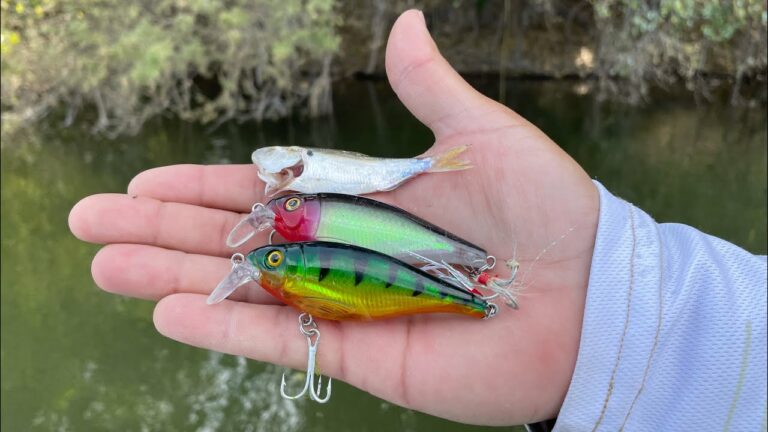 señuelos de pesca en el lago