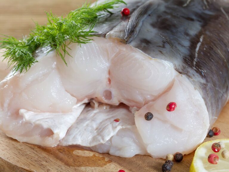 Congrio pescado: características, hábitat y reproducción del congrio