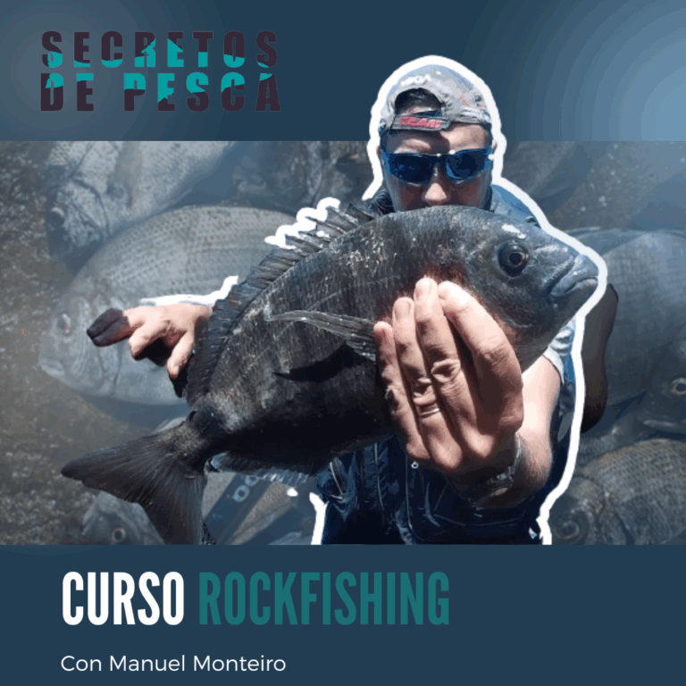 Escuelas de pesca: aprende y conecta con la naturaleza