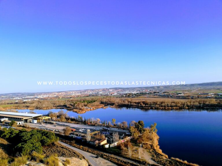 Laguna del Campillo: Pesca en Rivas Lagunas cerca de Madrid