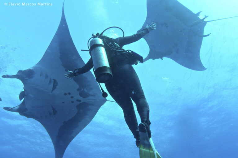 Mantarraya tamaño: Descubre la emoción de pescar gigantes
