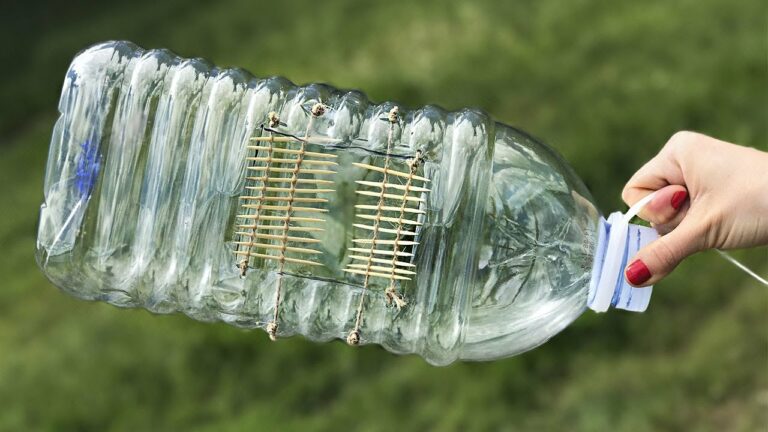 Trampas para peces: Guía para construir trampas artesanales