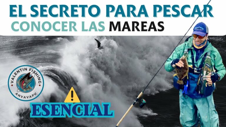 Fuerza de las mareas: Clave para una pesca efectiva