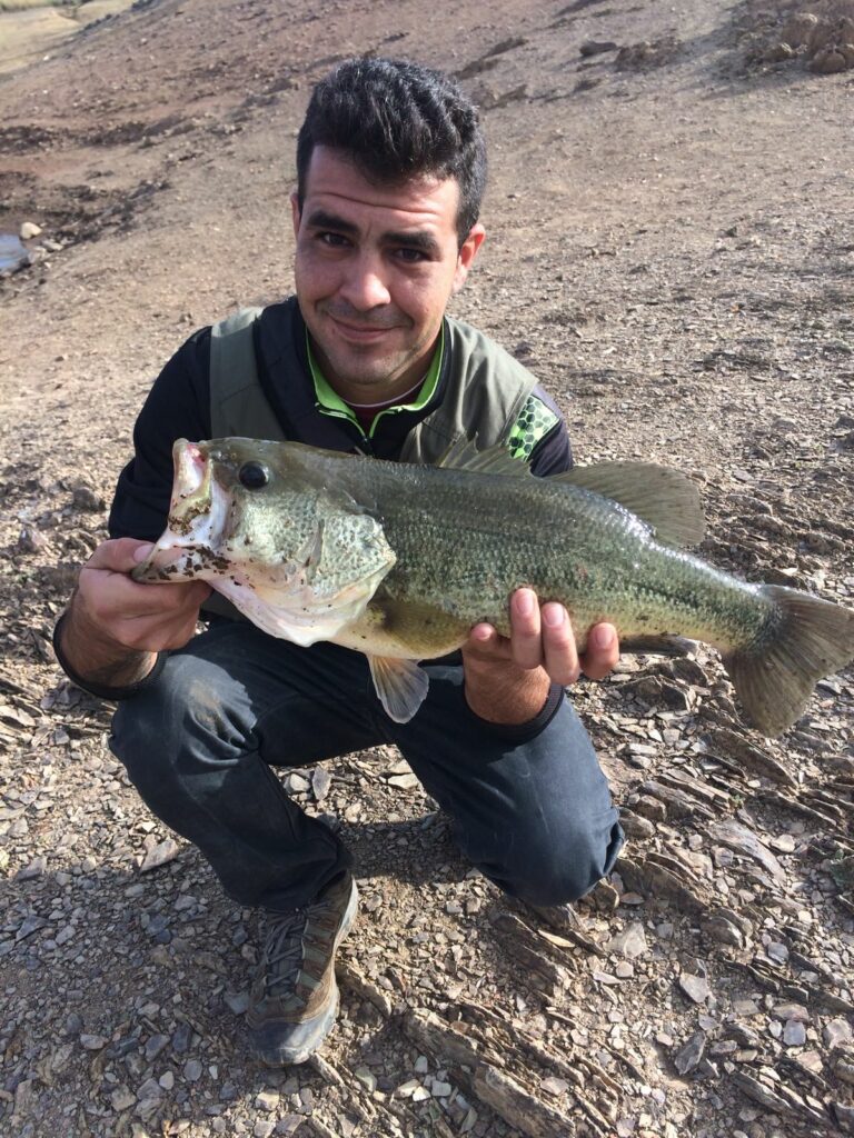 Lago de Aznalcóllar: Pesca de Carpas, Bass y Lucios