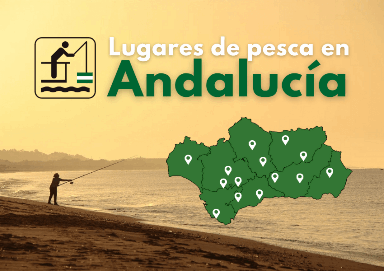 Pesca deportiva en Camposoto San Fernando: guía y regulaciones