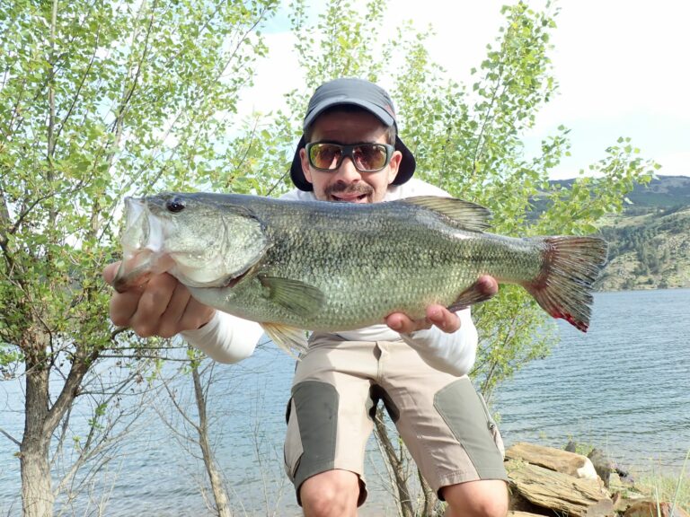 Pesca en pantano: Captura truchas en Pantano Atazar