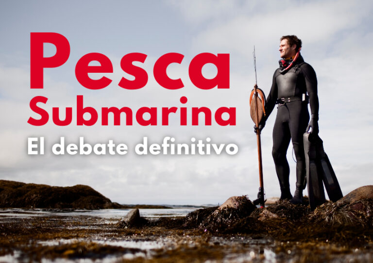 Pescasub: Guía completa sobre pesca submarina segura y sostenible
