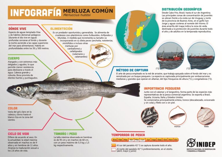 Pez murciélago: Guía de pesca y conservación eficaz