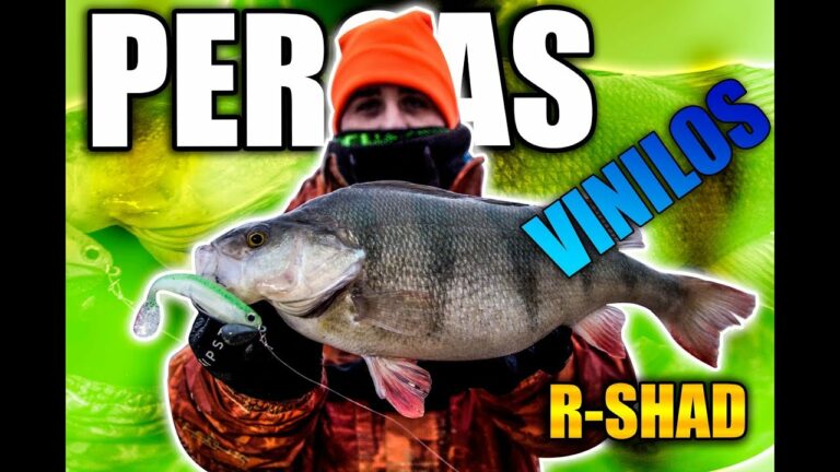 Roshis: R-Shad 100 Curly, el señuelo perfecto para pescar