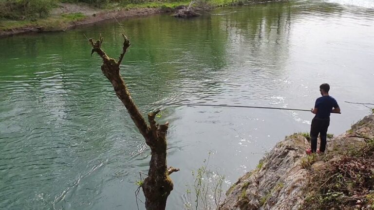 Ver cotos disponibles: Pesca en la naturaleza de Asturias