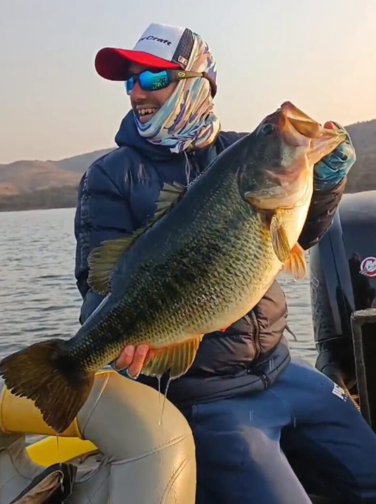 Blackbass: Guía de pesca en la tienda Gonca Bass Fishing