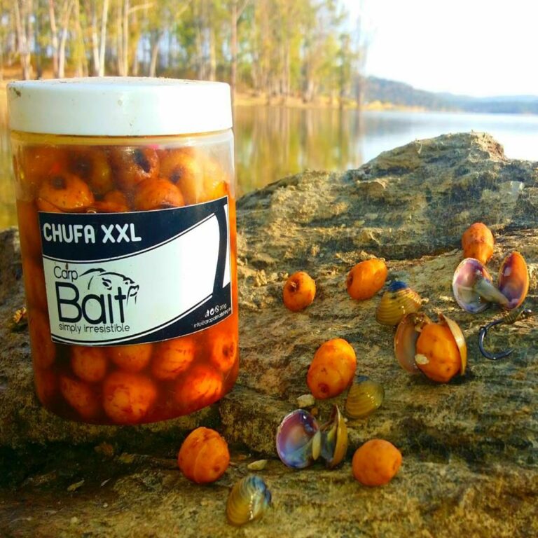 Chufa Semilla: El Cebo Irresistible para Pesca de Carpas