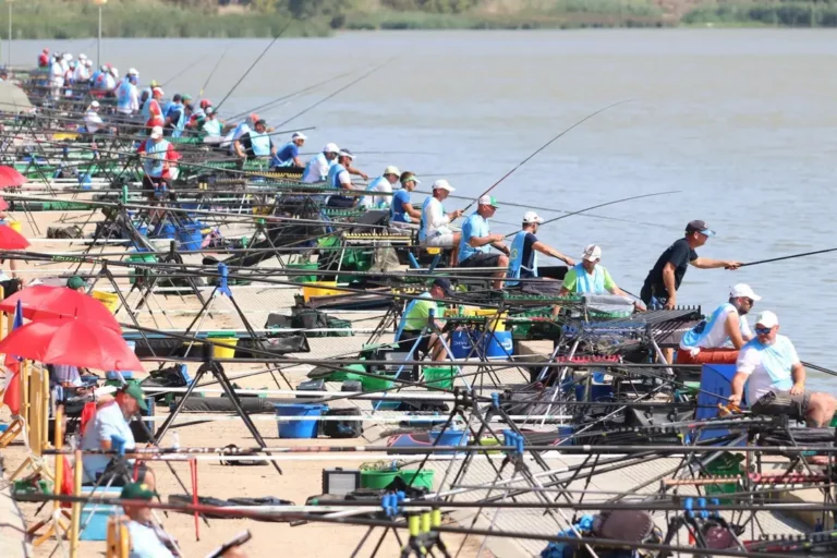 Embalse de Cueva Foradada: Pesca Deportiva en Castellón